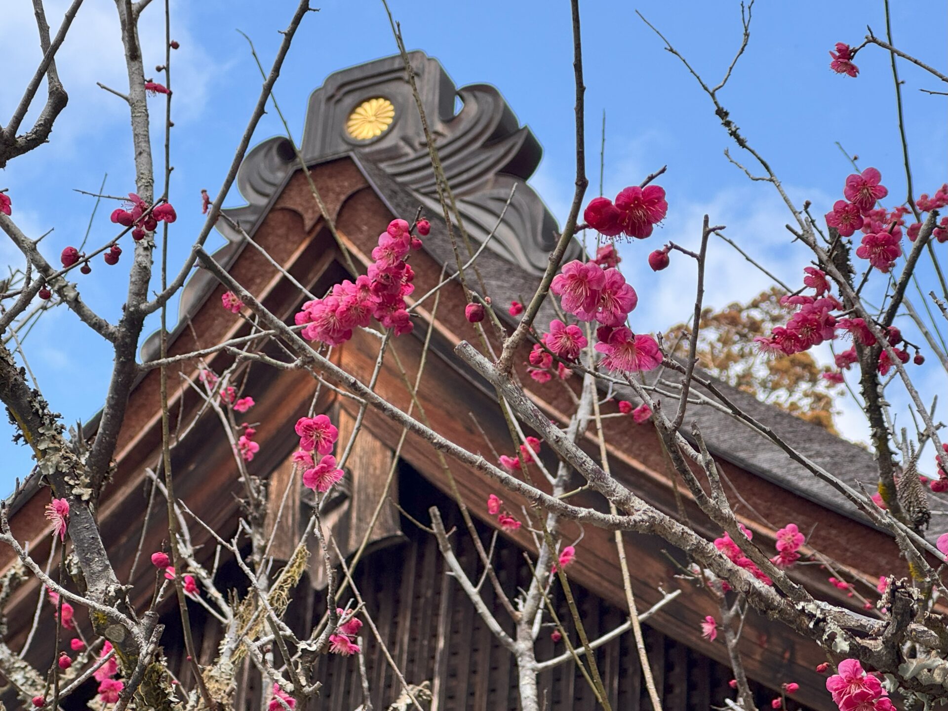 遠州遠江国一宮 小國神社