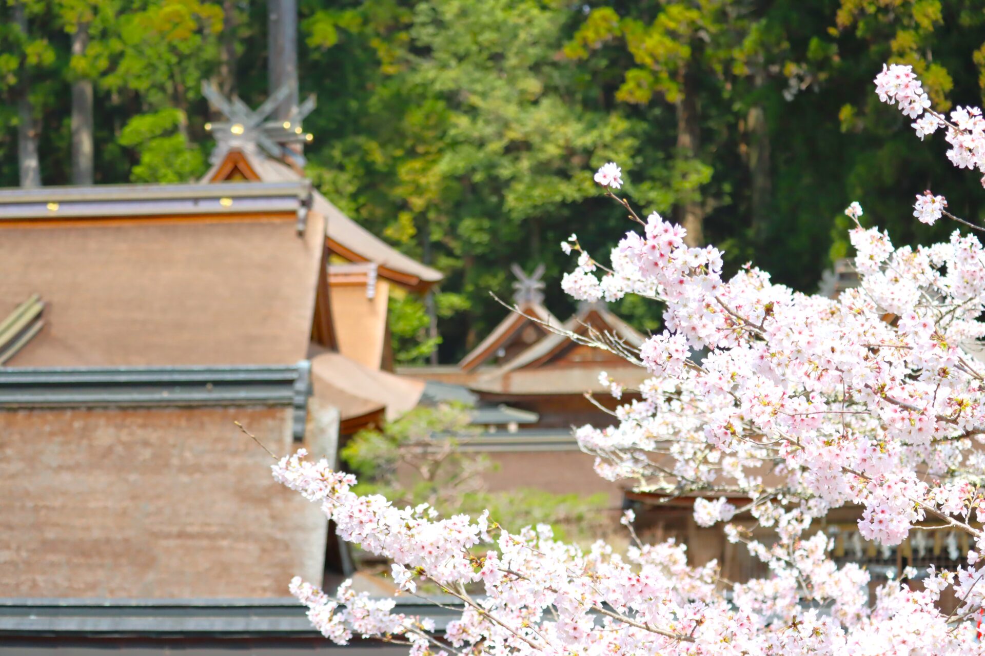 遠州遠江国一宮 小國神社
