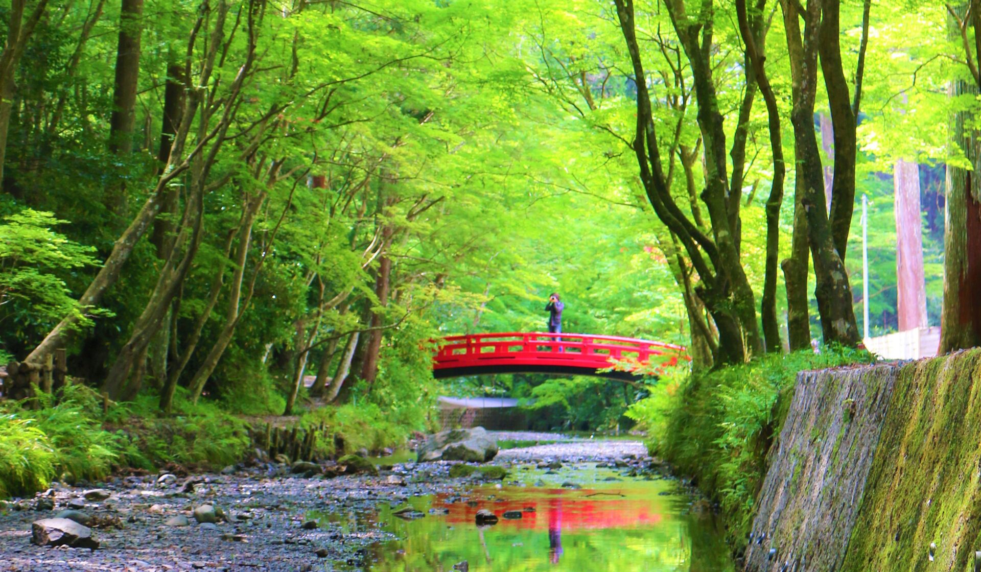 遠州遠江国一宮 小國神社