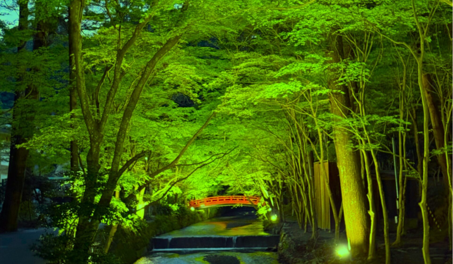 遠州遠江国一宮 小國神社